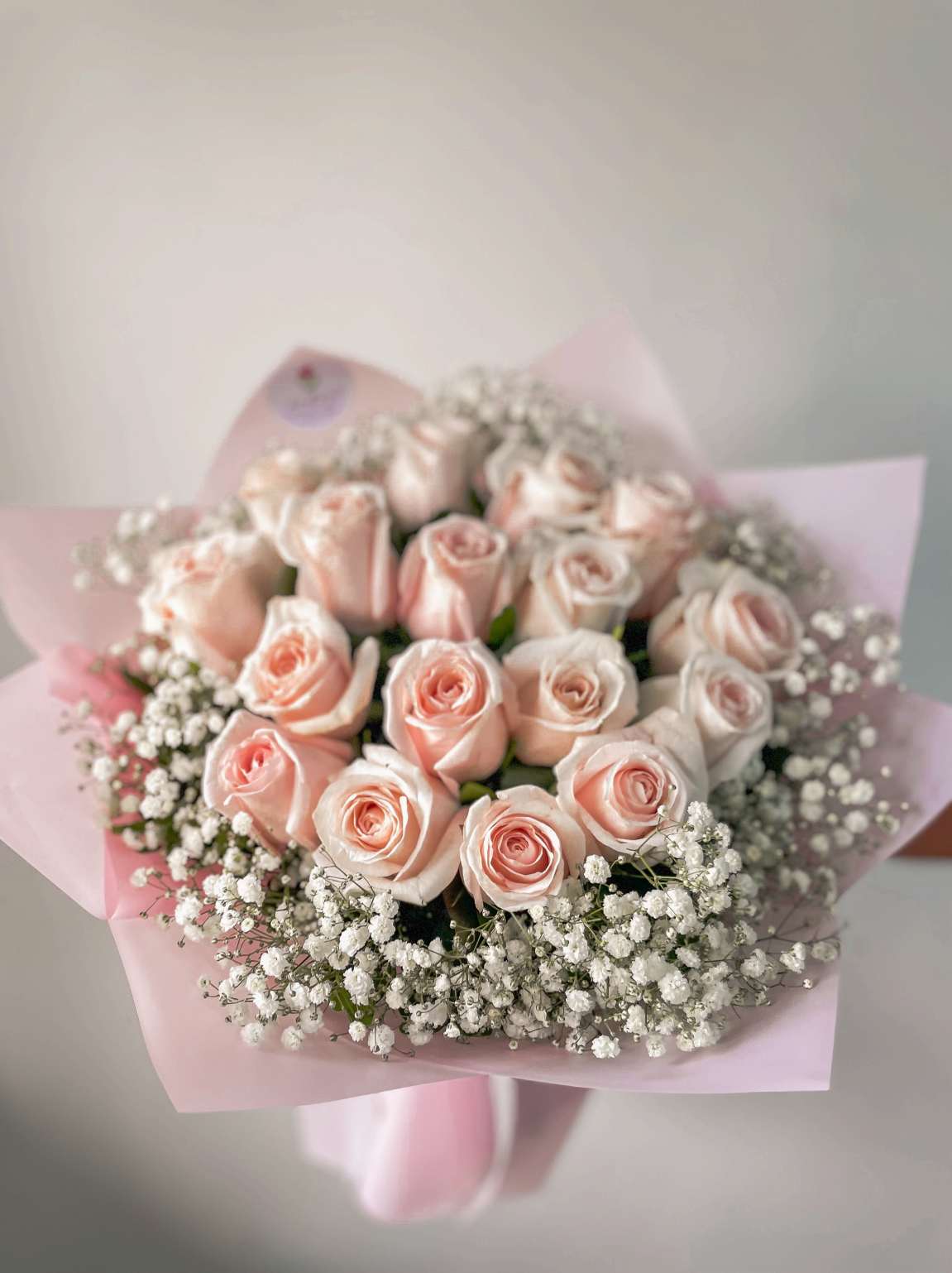 Rosas Rosadas y Nube
